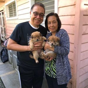 Meet your Posher, Severino